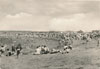 Postkarte Magdeburg Strandbad Barleber See (DDR)