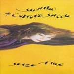 Sachiko + Culture Shock - Seize Fire